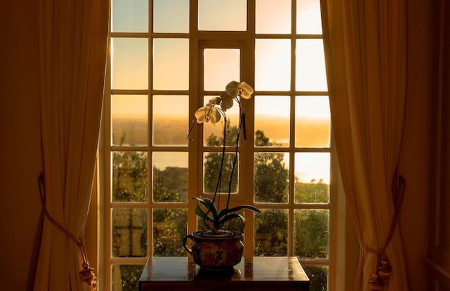 Colona Castle - Foto 69