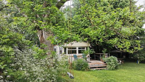 Doughery Den The Dark Hedges Hideaway - Foto 2, Garden, Garden view