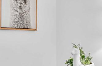 Flamingo Royale Beach Luxury Resort - Foto 4