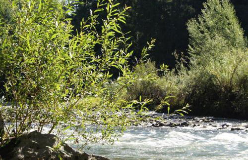Ferienwohnung im Obstgarten - Foto 50