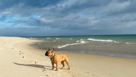 Apartamenty Belni Hel Edyta i Maciej Wolak - Foto 4