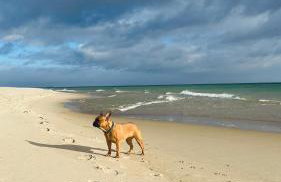 Apartamenty Belni Hel Edyta i Maciej Wolak - Foto 4