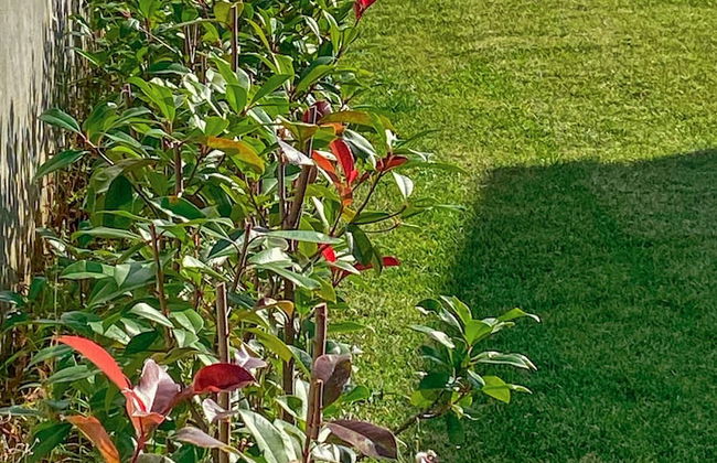 Villa Cali - Foto 61