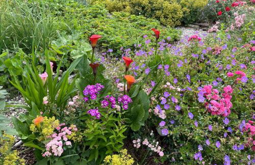 Reethaus Vilmnitz - Ferienwohnung Goor - Foto 29