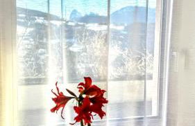 Haus Gläserer apartments - Foto 10