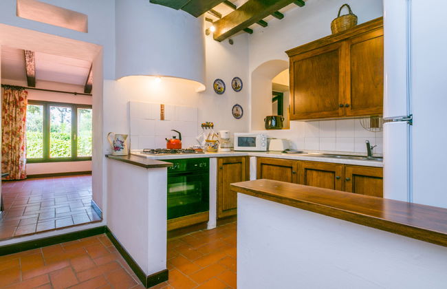 Bardeggiano - Caterina 3 (COL246) - Foto 9