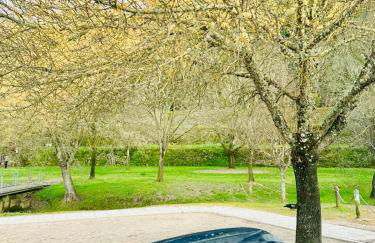 Casa do Castelo - Foto 6