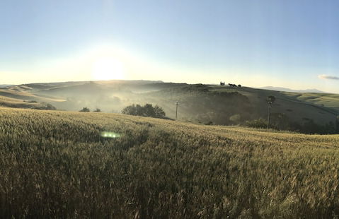 Tenuta Santo Pietro - Foto 76