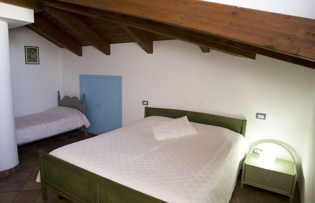 All'ombra del palmeto - Foto 13