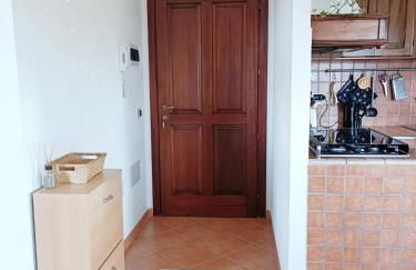 Abete Bianco - Photo 16