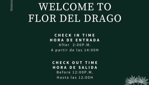 Flor del Drago - Foto 2