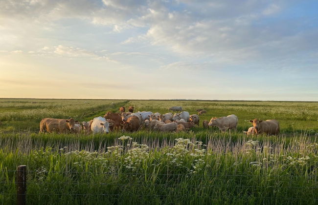 Ferienwohnung Tiefblick, Dornumersiel - Foto 17