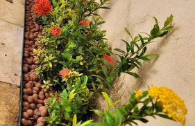 Casa à beira mar de Maragogi com 4 quartos, 4 banheiros e Área Verde - Foto 64