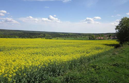 Ferienwohnungen Blumenschein - Foto 7