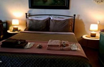 Zoe garden home - Photo 45