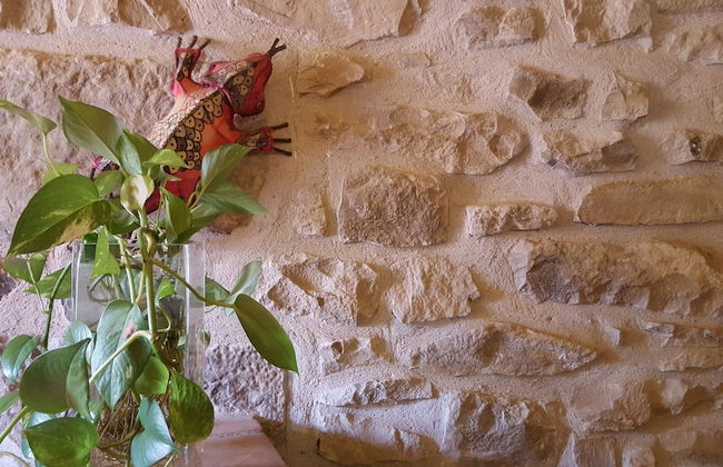 Les Cavallerisses Turisme Rural - Foto 10