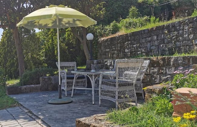 Tiny Shell House - Photo 15