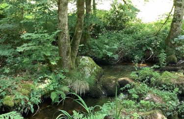 Woodland Cottage - Foto 19