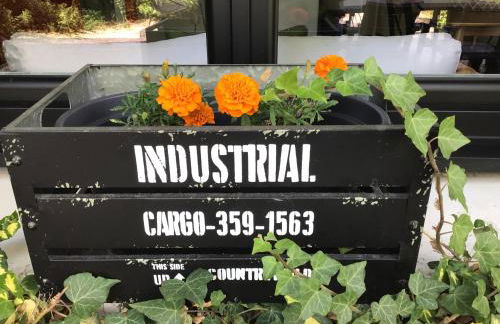 Les Murets du plateau - Foto 27