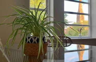 Linnet House - Relaxing - Leafy - Whole Apt- 2 Bed - Foto 7