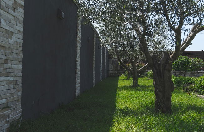 Holiday Home Noa - Foto 52