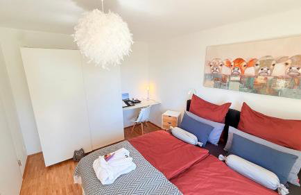 Panorama-Übernachtungen - 4 Sterne DTV - eigene Terrasse mit Garten - Infrarot-Sauna mit Dampfbad - Photo 3