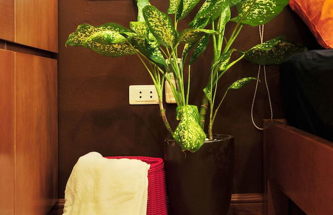 Chez Tram Homestay - Foto 19