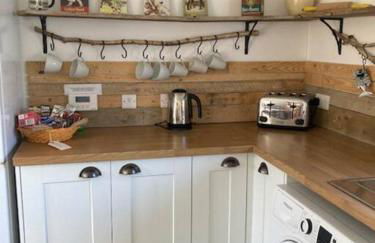 Rhedyn - Cosy Fishing Lodge Near Aberaeron - Photo 43