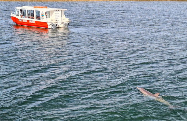Balade en bateau sur la rivière Port Adelaide - Photo 6