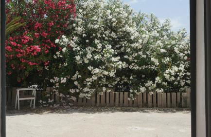 Casa Ammare - Foto 9