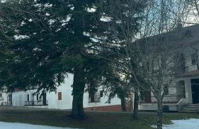 La Baita di Nyra - Foto 14