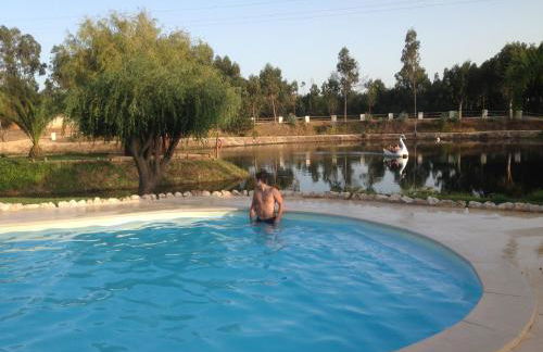 Herdade do Sardanito da Frente - Foto 71