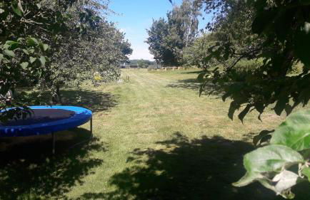 Apartments Sonne am Sund - Photo 41