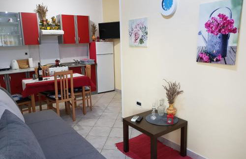 Apartments Davor - Photo 8