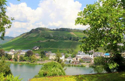 MOSELROMANCE - Luxusapartment - große Terrasse - ruhige Lage - Foto 37