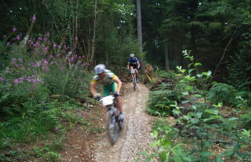 Cae'r Beili - Photo 41