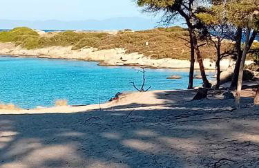 Niki House - Foto 28