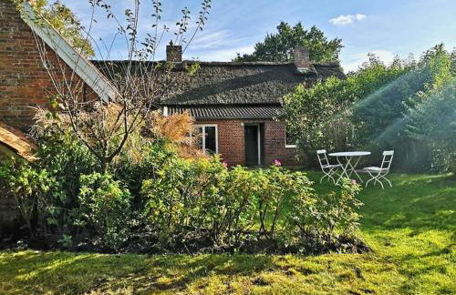 Historisches Reetdach-Haus - bis zu 20 Personen - Foto 6