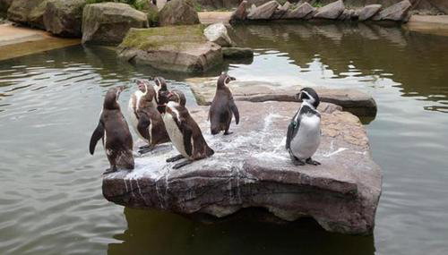 Barn-sleeps 4-parking-near Alton Towers/peak Dist - Foto 5