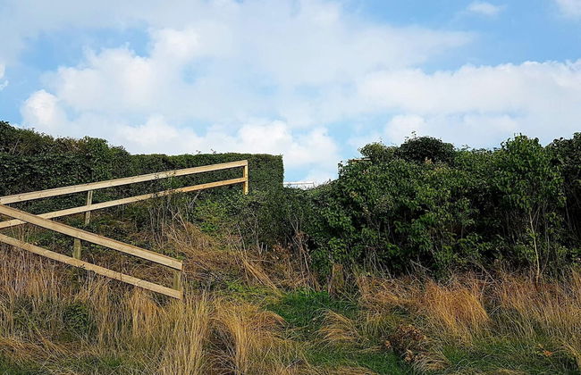 8 Person Holiday Home in Olsted-by Traum - Foto 7