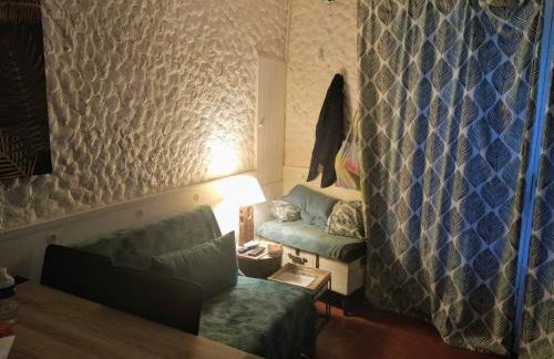 la Palmette , NOUVEAU ! climatisée et wifi - Foto 3