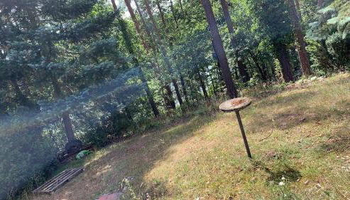 Lakeside-Hideaway - Photo 3