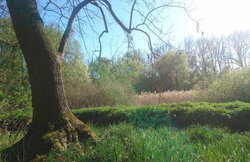 Sonniges Häuschen mit Garten - Foto 18