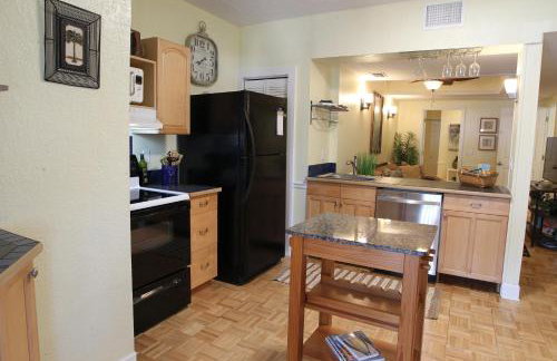 2 Bedroom Apt Overlooking Dunedin Town Square NO KIDS, NO PETS - Photo 37