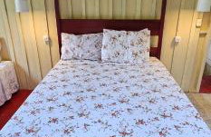 Premium Amazon Jungle Lodge - Foto 23