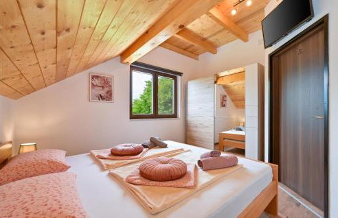Amazing Home In Grabrovnik With Sauna - Foto 32