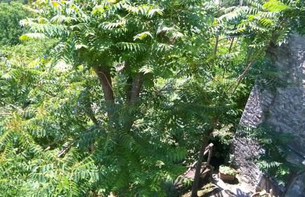 Ca' Rosmunda - Photo 7