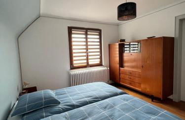 Le Cerisier - Route des vins - Parking et terrasse avec vue sur montagnes et vignoble - Foto 9