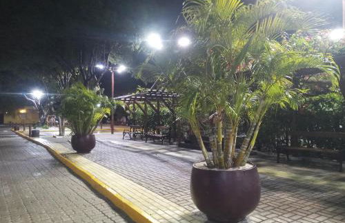 Chales Da Mata - Foto 25