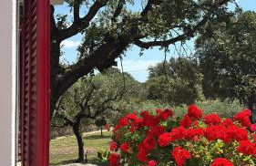 Finca Sa Cova de Mallorca - Foto 5